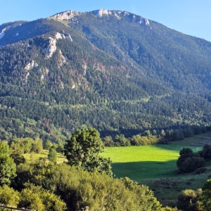 IMG-20241126-WA0028