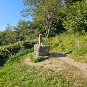 IMG-20241126-WA0030