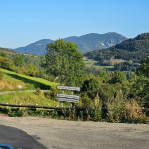 IMG-20241126-WA0034