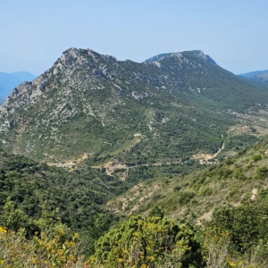IMG-20241126-WA0036