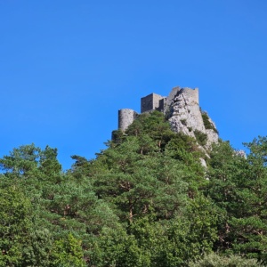 IMG-20241126-WA0040