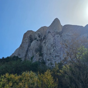 IMG-20241126-WA0044