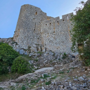 IMG-20241126-WA0052