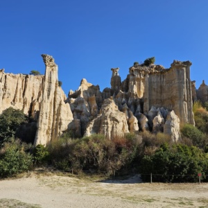 IMG-20241126-WA0054