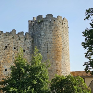 IMG-20241126-WA0055