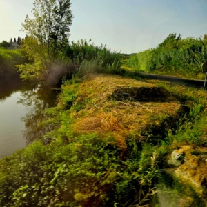 IMG-20241126-WA0062